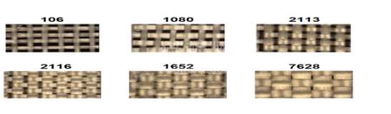 中文字幕无码他人妻味