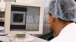 中文字幕无码他人妻味