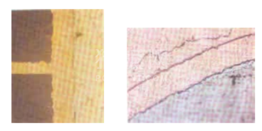 中文字幕无码他人妻味