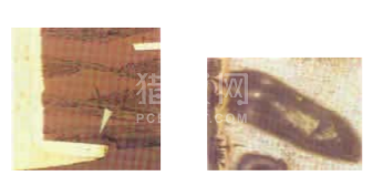 中文字幕无码他人妻味