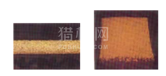 中文字幕无码他人妻味