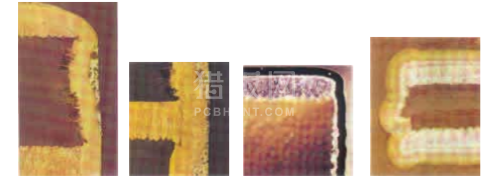 中文字幕无码他人妻味