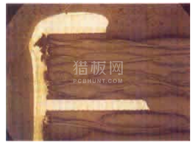 中文字幕无码他人妻味