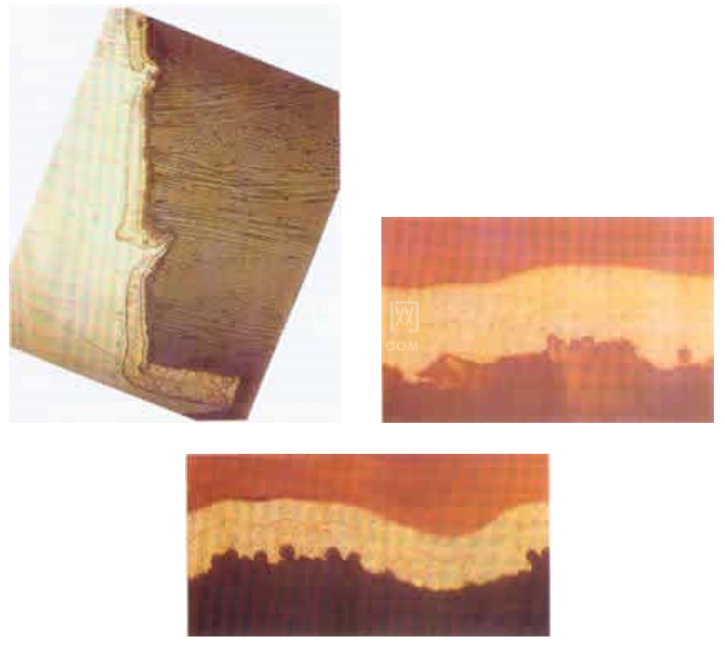 中文字幕无码他人妻味