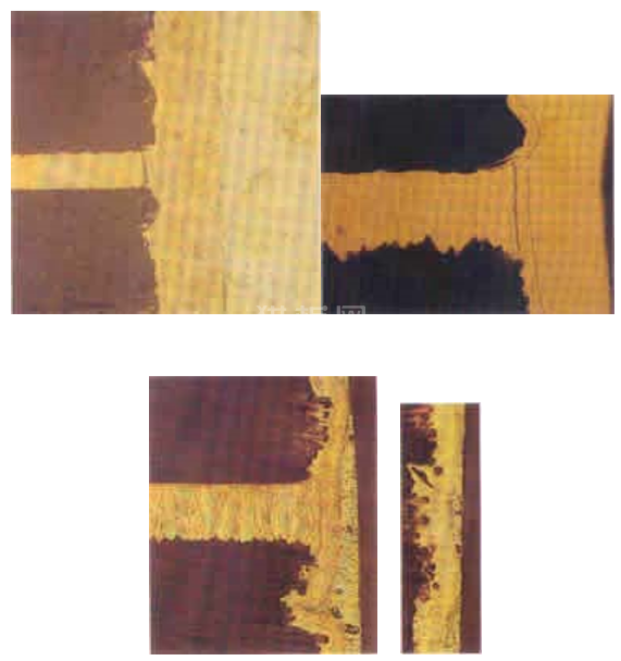 中文字幕无码他人妻味