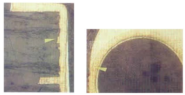 中文字幕无码他人妻味