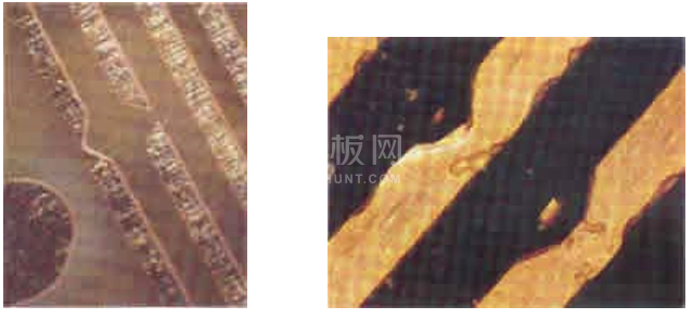 中文字幕无码他人妻味