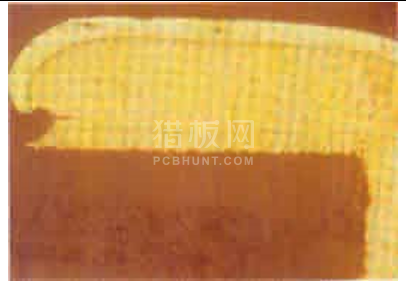 中文字幕无码他人妻味