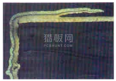 中文字幕无码他人妻味