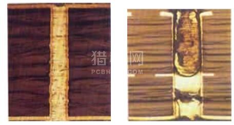 中文字幕无码他人妻味