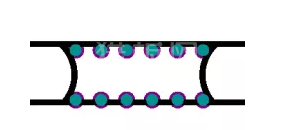 中文字幕无码他人妻味